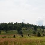 2017OTRA-1_934 (August 27, 2017)